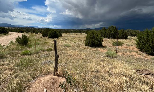 Vacant Land for sale in Walsenburg, Colorado